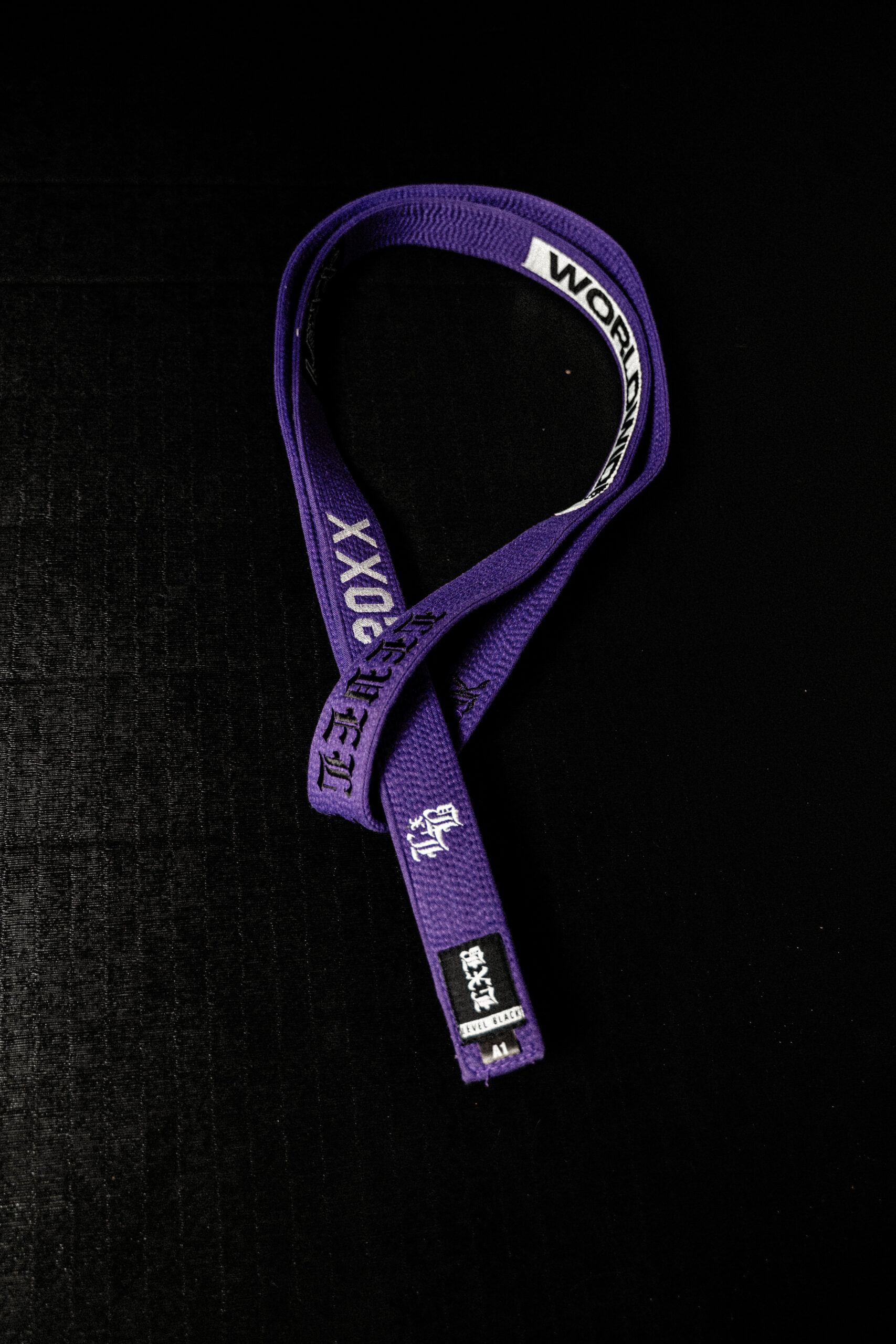 DSC08870-scaled-1.jpg 20XX INFINITY PURPLE BELT - Image 1
