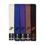 LOCKDOWN ADULT BELT