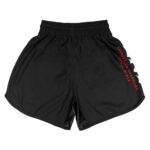 OG TRAINING SHORTS - Image 2